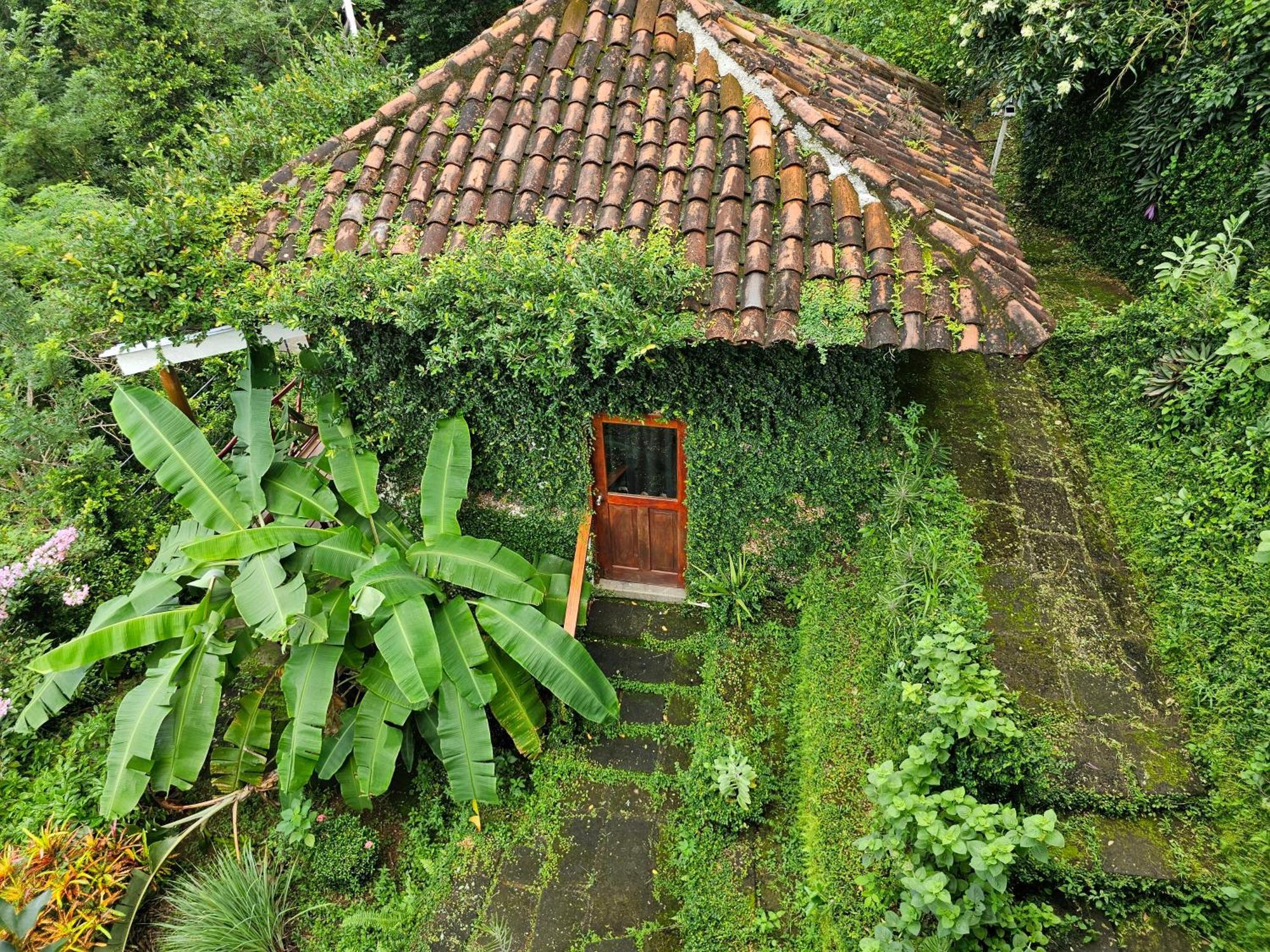 Casa Andalucia Hotell San Juan del Sur Eksteriør bilde